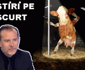 STIRI PE SCURT.FOARTE PE SCURT.SI PUTIN UMOR!