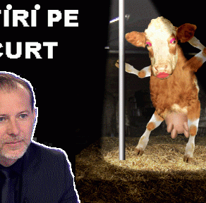 STIRI PE SCURT.FOARTE PE SCURT.SI PUTIN UMOR!