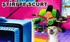 STIRI PE SCURT.FOARTE PE SCURT.SI PUTIN UMOR!!!