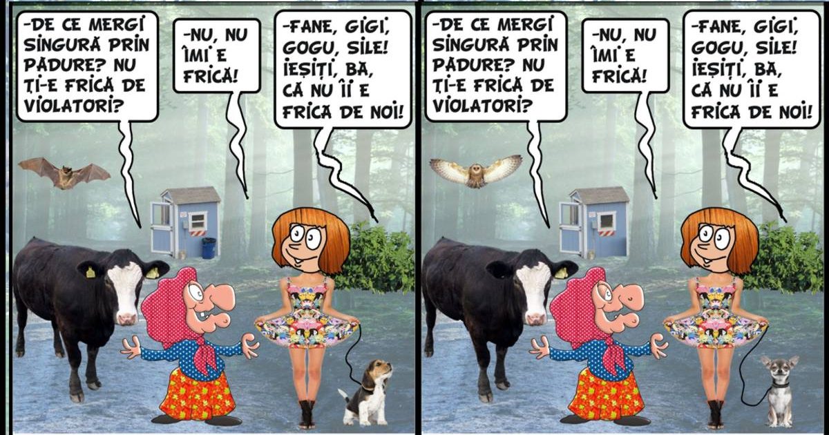 ZECE DIFERENTE