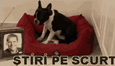 STIRI PE SCURT.FOARTE PE SCURT.SI PUTIN UMOR!!!