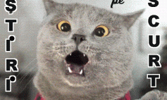 STIRI PE SCURT.FOARTE PE SCURT.SI PUTIN UMOR!!!