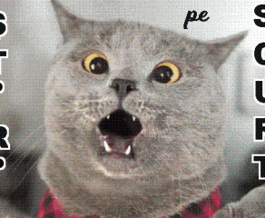 STIRI PE SCURT.FOARTE PE SCURT.SI PUTIN UMOR!!!