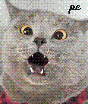 STIRI PE SCURT.FOARTE PE SCURT.SI PUTIN UMOR!!!