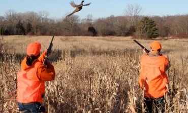 Interzis la vanatoarea de pasari!Curtea de Apel Târgu Mureş a decis suspendarea vânătorii pentru 25 de specii de păsări, pentru sezonul 2021-2022!