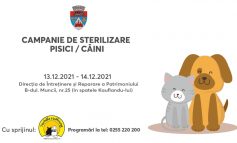 STIRI PE SCURT.FOARTE PE SCURT. u2013 Carasanul