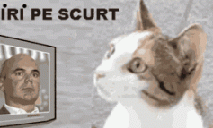 STIRI PE SCURT.FOARTE PE SCURT.SI PUTIN UMOR!!!