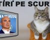STIRI PE SCURT.FOARTE PE SCURT.SI PUTIN UMOR!!!