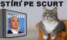 STIRI PE SCURT.FOARTE PE SCURT.SI PUTIN UMOR!!!