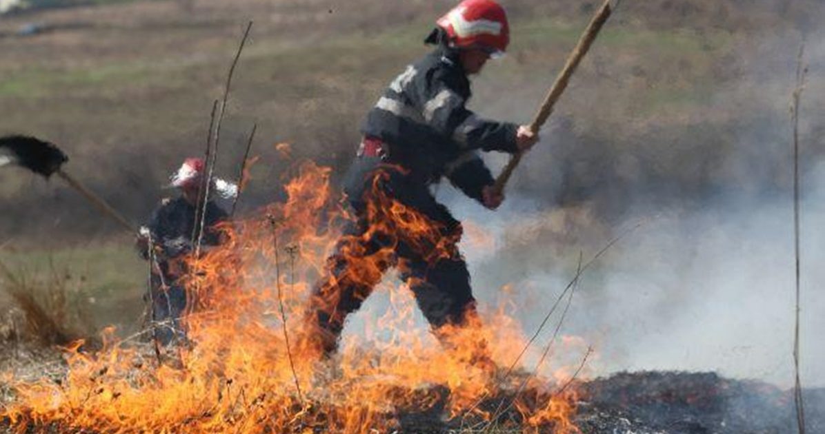 Piromani vor fi aspru sanctionati!Amenzi uriase pentru incendierea miristilor!