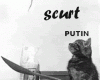 STIRI PE SCURT.FOARTE PE SCURT.SI PUTIN UMOR!!!