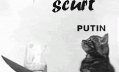 STIRI PE SCURT.FOARTE PE SCURT.SI PUTIN UMOR!!!