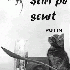 STIRI PE SCURT.FOARTE PE SCURT.SI PUTIN UMOR!!!