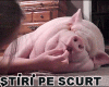 STIRI PE SCURT.FOARTE PE SCURT.SI PUTIN UMOR!