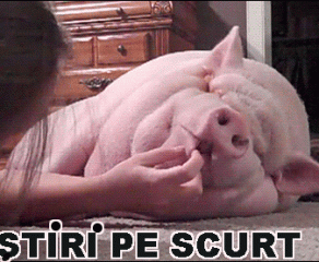 STIRI PE SCURT.FOARTE PE SCURT.SI PUTIN UMOR!