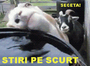 STIRI PE SCURT.FOARTE PE SCURT.SI PUTIN UMOR!!!