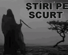 STIRI PE SCURT.FOARTE PE SCURT.SI PUTIN UMOR!!!