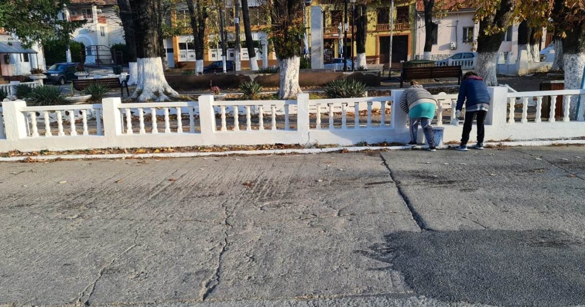 MOLDOVA NOUA-MERITAM UN PARC CURAT, MACAR!