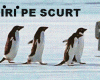 STIRI PE SCURT.FOARTE PE SCURT.SI PUTIN UMOR!!!