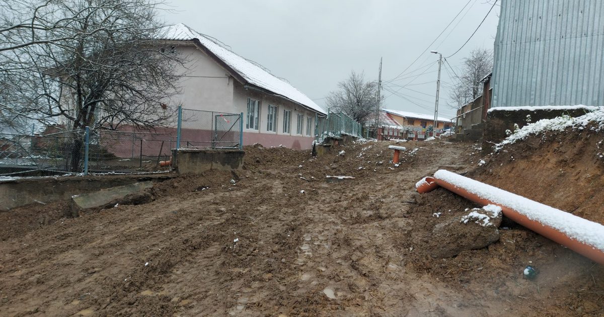 CUM MODERNIZEAZA NELU POPA RESITA