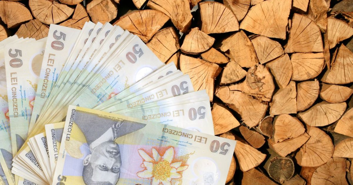ORAVITA.VINERI A FOST ULTIMA ZI IN CARE VA PUTEATI RIDICA AJUTORUL PENTRU INCALZIRE
