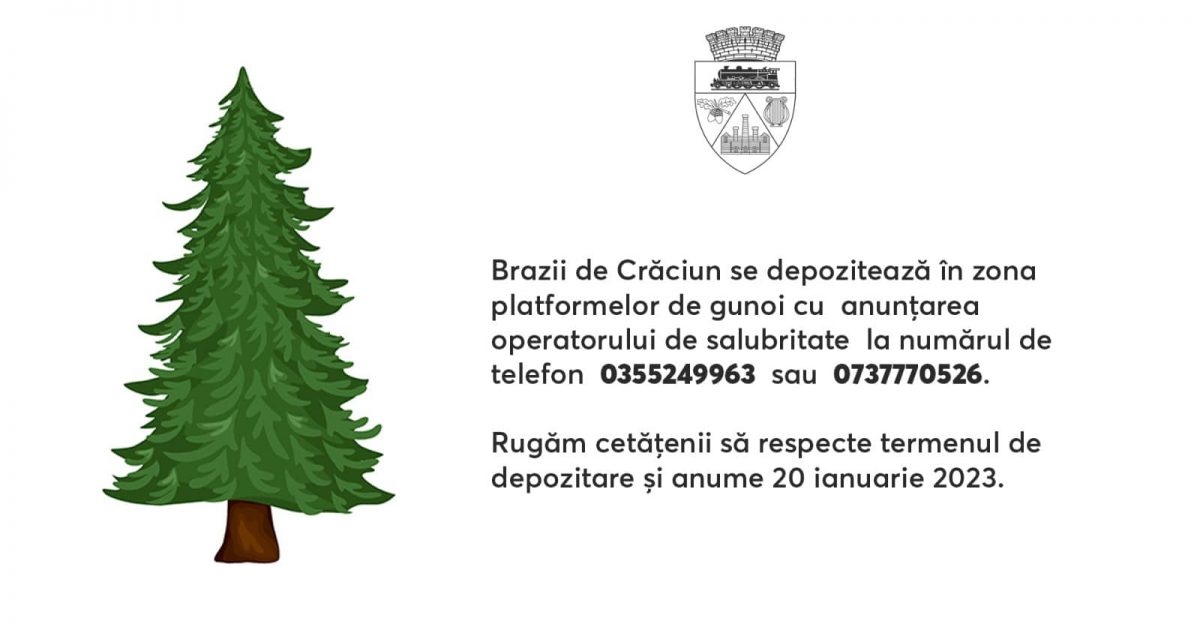 RESITA:NELU POPA VA SCAPA DE BRAZII DE CRACIUN!