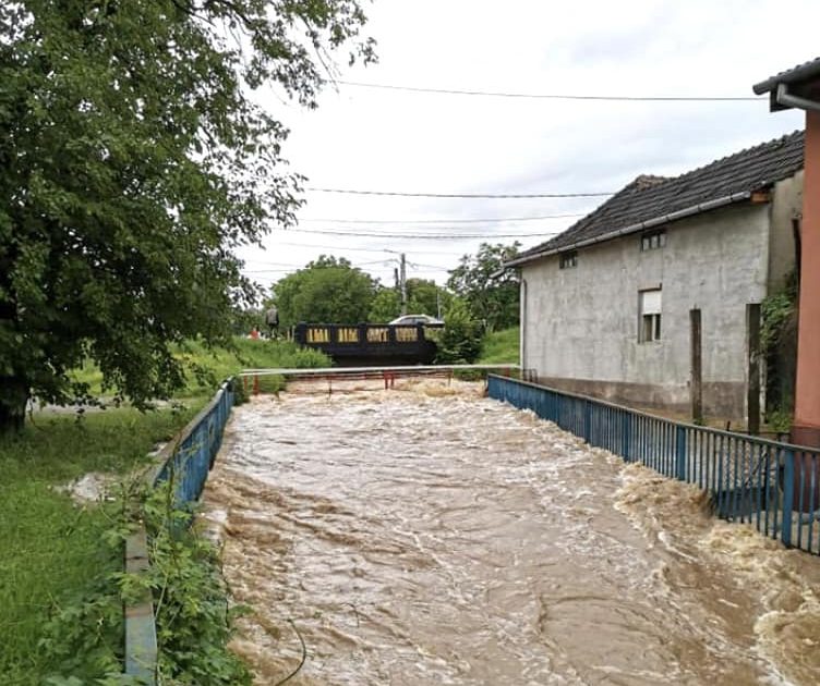 CARANSEBES-MARCEL VELA PROMITE "DOMESTICIREA" PARAURILOR POTOC SI ZLAGNA!