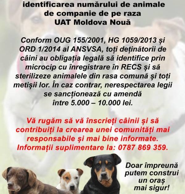 MOLDOVA NOUA-TOTI CAINII FARA STAPAN VOR FI TRECUTI IN REGISTRU!