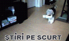 STIRI PE SCURT.FOARTE PE SCURT.SI PUTIN UMOR!!!