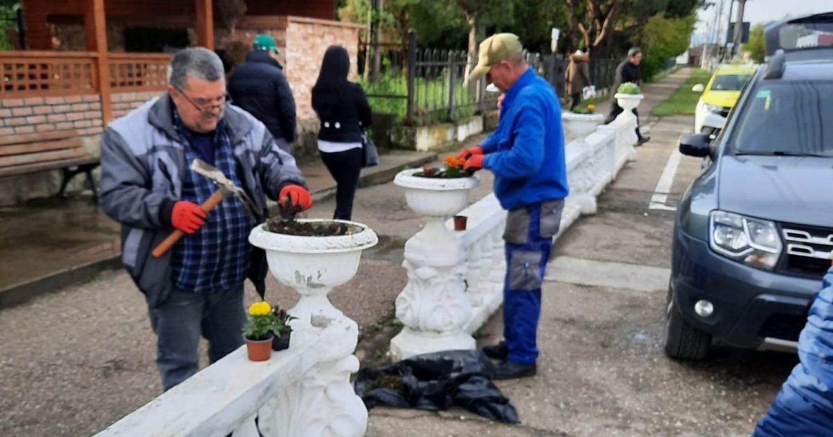 MODOVA NOUA SE UMPLE DE FLORI