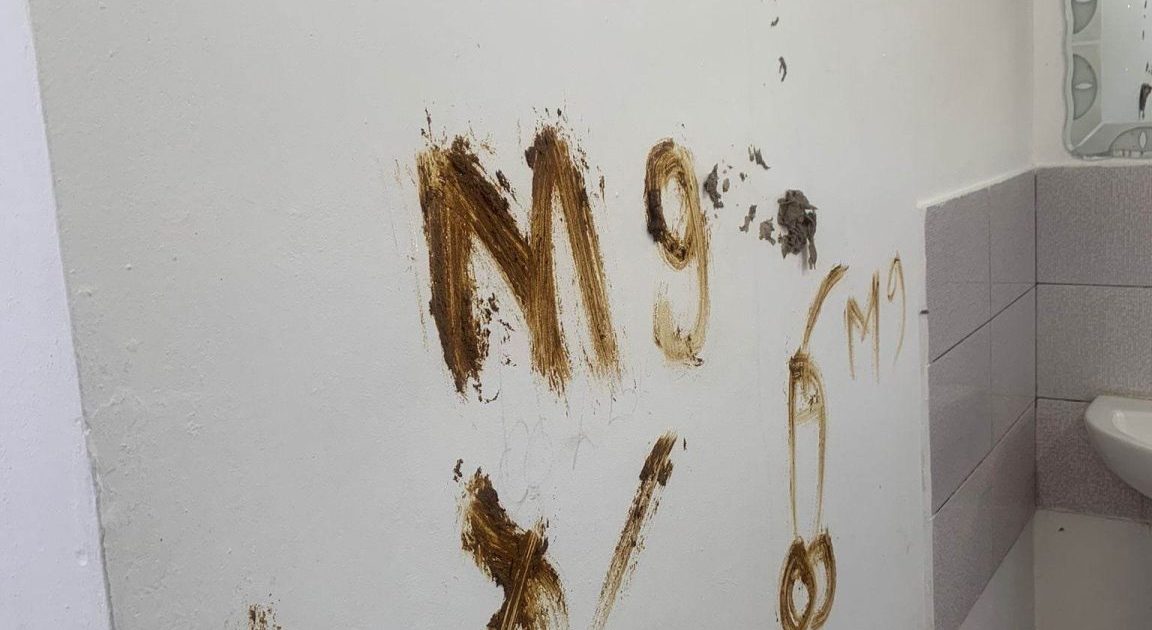 REMBRANDT DE MOLDOVA NOUA PICTEAZA CU...RAHAT!