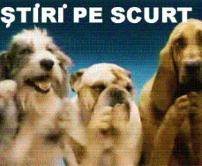 STIRI PE SCURT.FOARTE PE SCURT.SI PUTIN UMOR