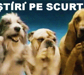 STIRI PE SCURT.FOARTE PE SCURT.SI PUTIN UMOR