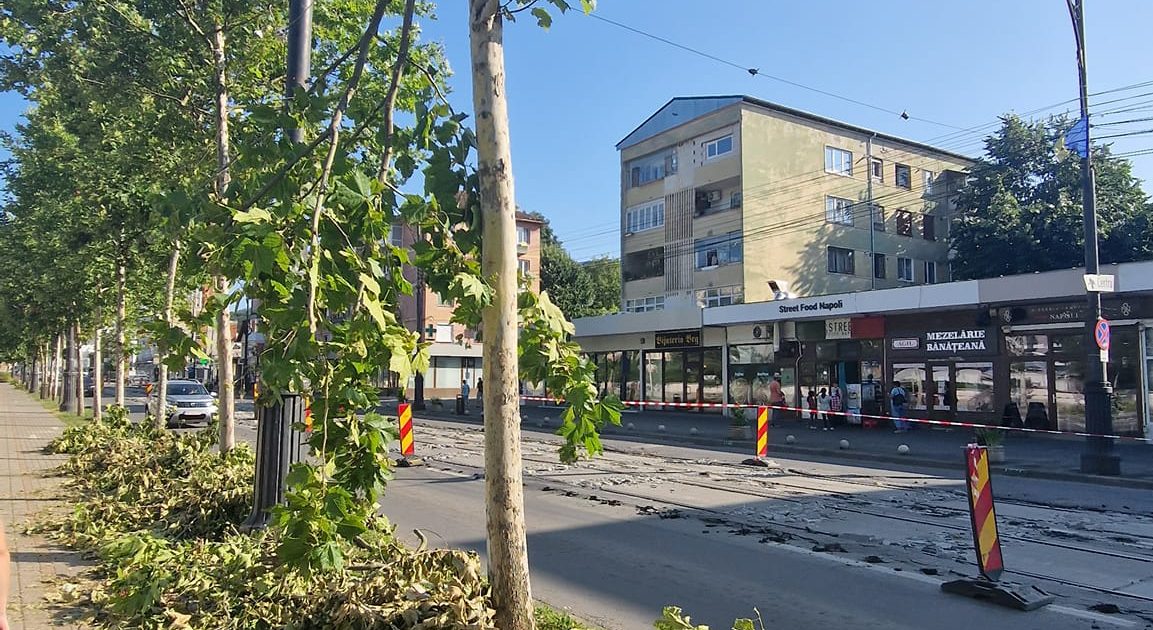 Nemulțumire în Reșița: Crengile căzute în urma furtunii, o problemă nerezolvată de Primărie
