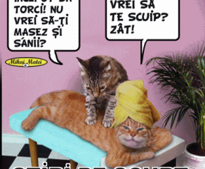 STIRI PE SCURT.FOARTE PE SCURT.SI PUTIN UMOR!!!