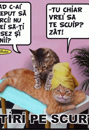 STIRI PE SCURT.FOARTE PE SCURT.SI PUTIN UMOR!!!