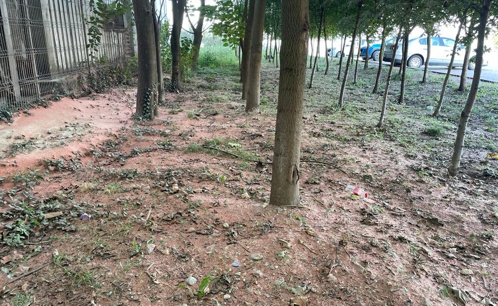 Poluarea masivă din Moldova Nouă: un dezastru ecologic neglijat