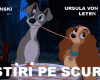 STIRI PE SCURT.FOARTE PE SCURT.SI PUTIN UMOR!!!