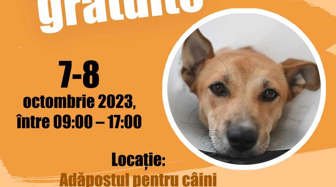 MOLDOVA NOUA! VREI SA-TI LASI CAINELE FARA URMASI?
