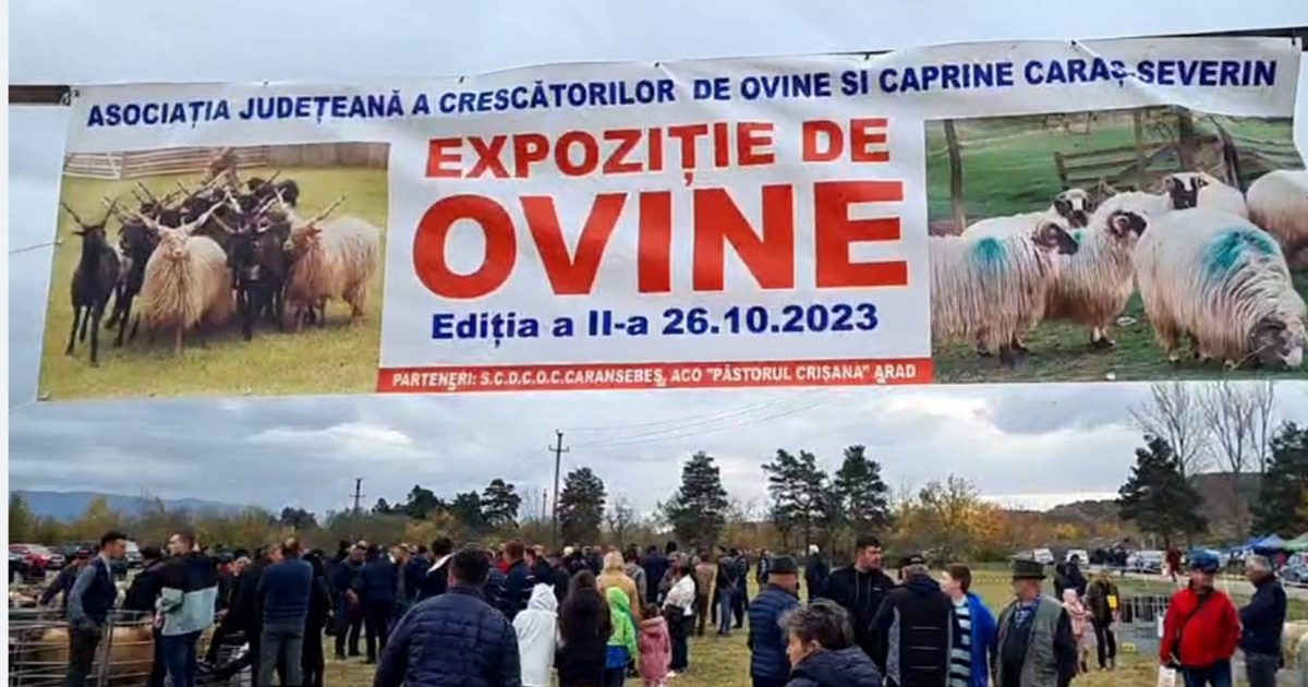 Cea de-a doua expoziție de ovine din Caraș-Severin-un succes deplin!