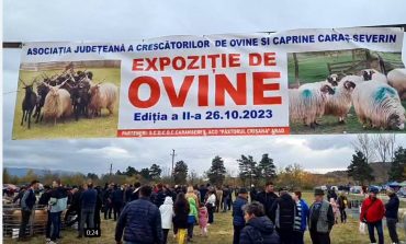 Cea de-a doua expoziție de ovine din Caraș-Severin-un succes deplin!