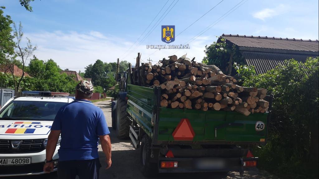 Secția 5 Poliție Rurală Bocșa.Prins în flagrant: hoțul de lemn cu aviz fals și transport ilegal!