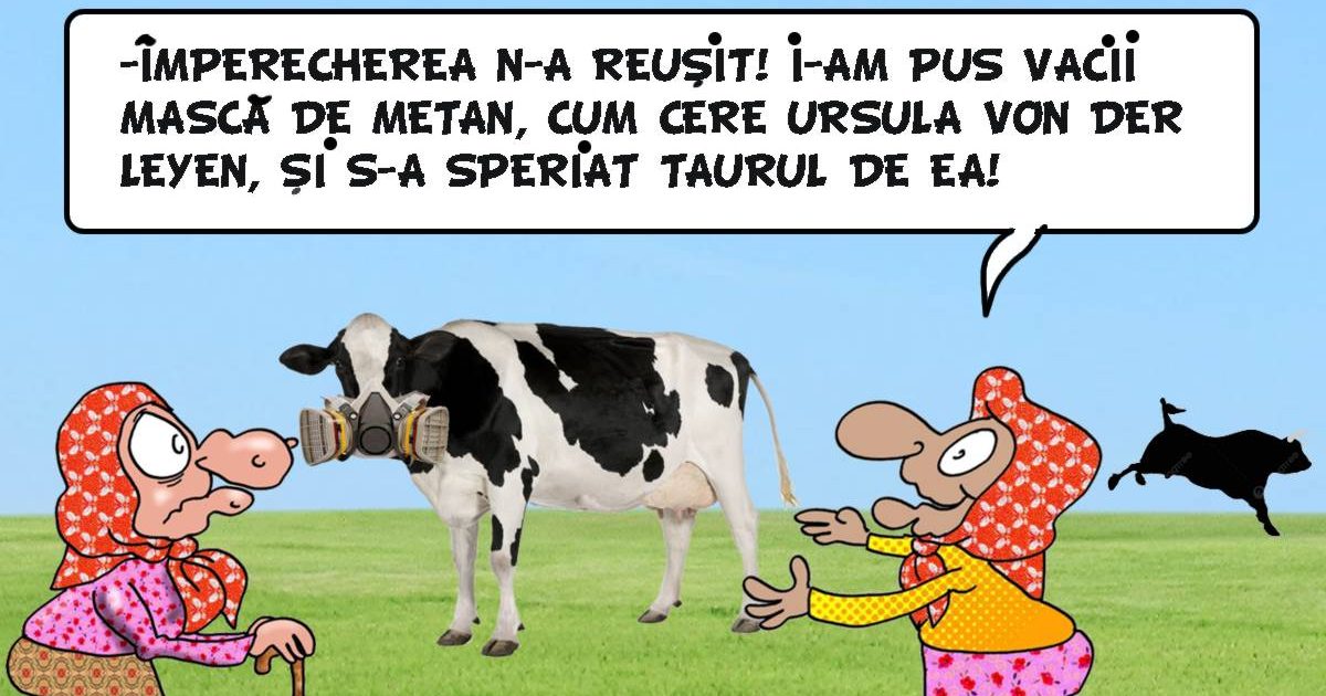 CU VACA LA CARNAVAL!!!