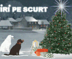 STIRI PE SCURT.FOARTE PE SCURT.SI PUTIN UMOR!!!