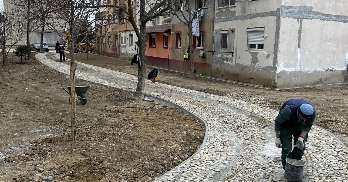 Oază urbană în cartierul Pipirig: Primaria Caransebeș ne uimește!