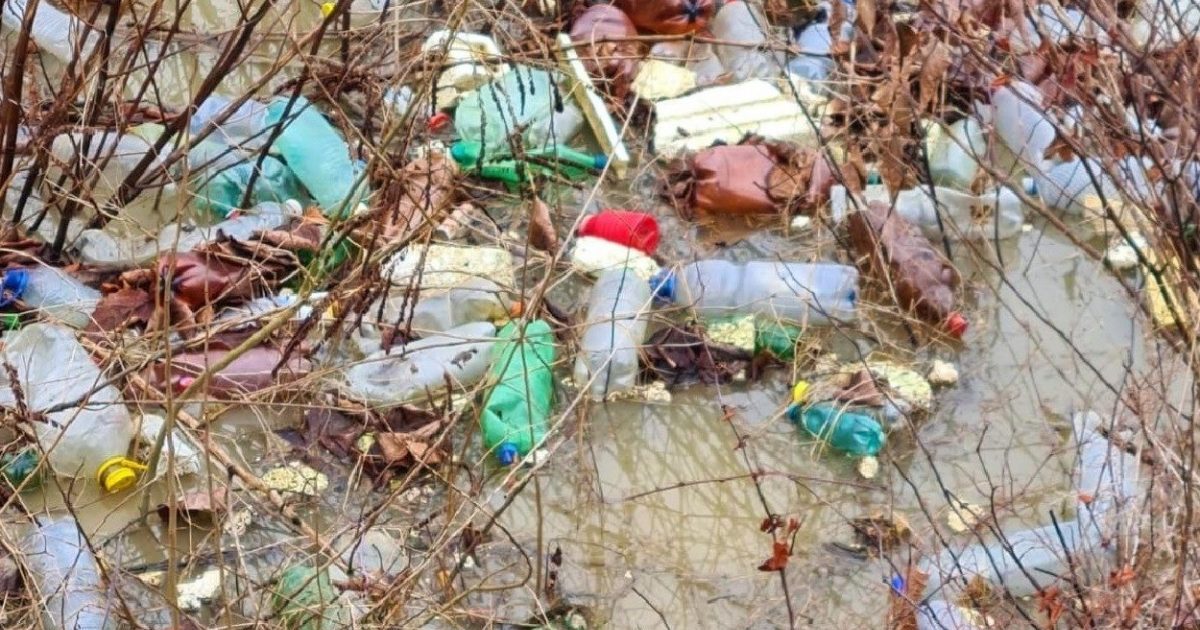 RESITA SE ECOLOGIZEAZA! ERA SI TIMPUL!