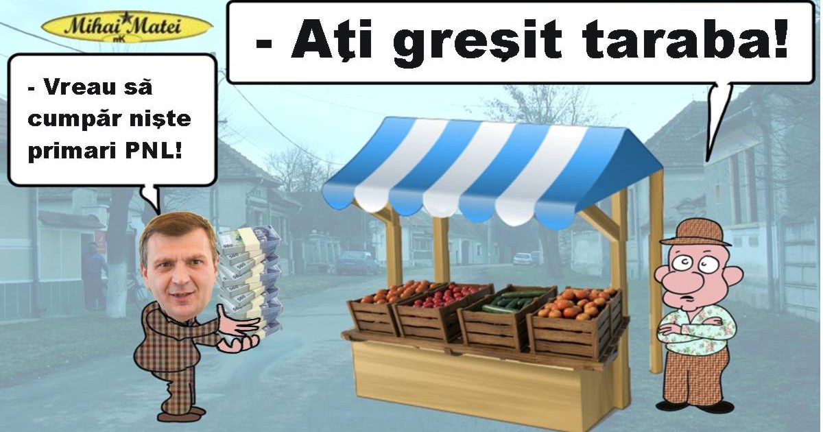 PRIMARILOR LIBERALI DIN CARAS SEVERIN CU DRAGOSTE...DAR FARA RESPECT!