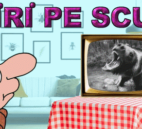 STIRI PE SCURT.FOARTE PE SCURT.SI PUTIN UMOR!!!
