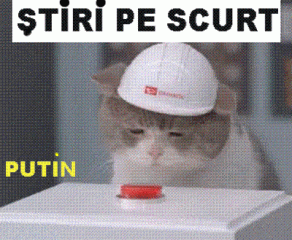 STIRI PE SCURT.FOARTE PE SCURT.SI PUTIN UMOR!