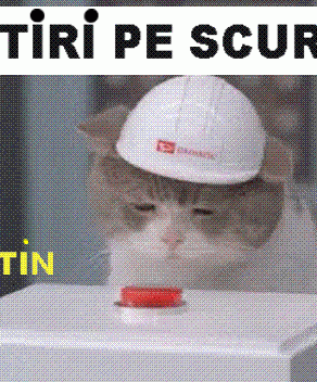 STIRI PE SCURT.FOARTE PE SCURT.SI PUTIN UMOR!